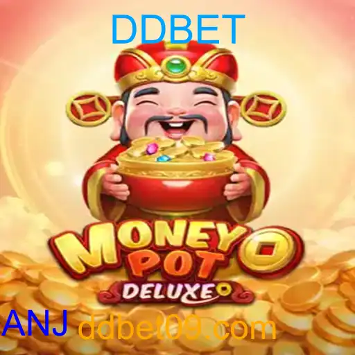 MoneyPotDELUXE